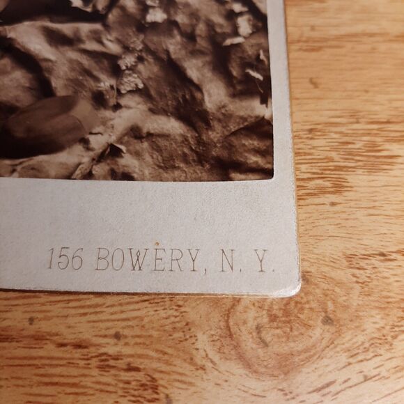 Cabinet Card Photo Austen Fox (Riggs?) Fred Ulrich 156 Bowery NY New York NYC - Picture 6 of 9